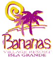 Logo Hotel Bananas Village