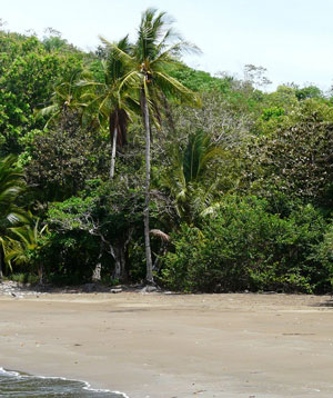 Boca Brava, Panama