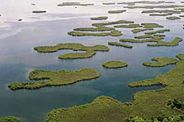 Islets, Bocas del Toro Panama