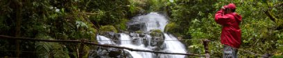 Birdwatching in Volcan, Panama